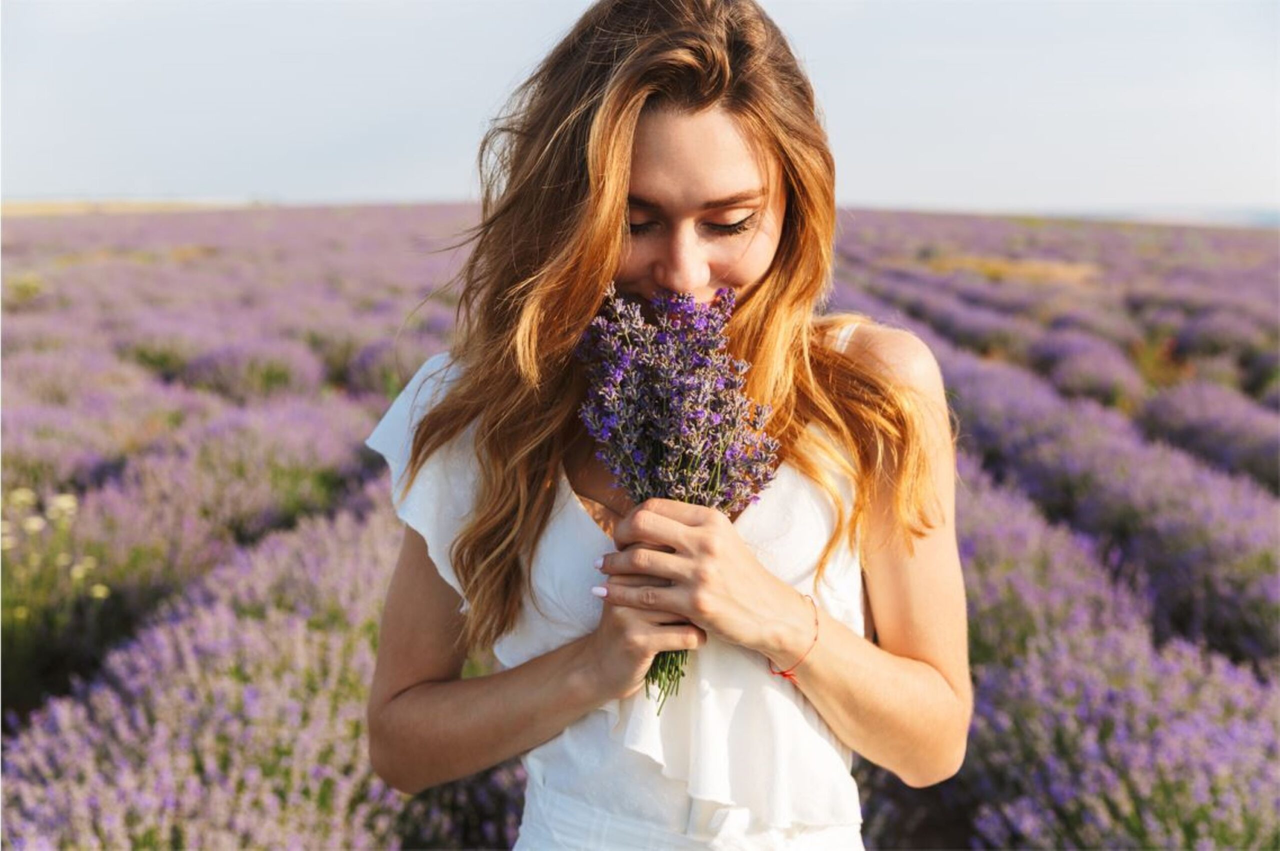 Lavanda