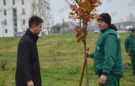 Gradski park - sadnja u Bloku 82 - gradonačelnik Antonio Ratković 1