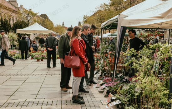 Sombor - Festival cveća 