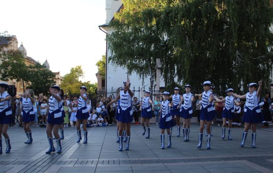 Održana manifestacija „Dan žitnih polja“ u Somboru 4