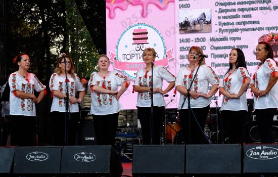 Najslađa manifestacija u opštini Odžaci – lalićka Tortijada 9