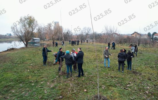 Zelena agenda opštine Kula – stvaranje sredine po najvišim ekološkim standardima 6