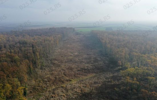 Pozicioniranje kulske opštine kao centra privrednih dešavanja – prioritet za budućnost 6