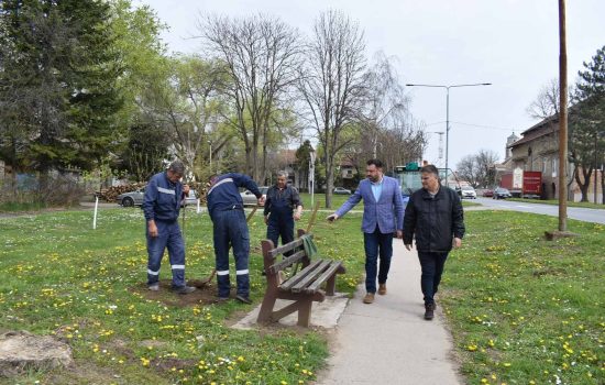 Ozelenjavanje javnih površina u Odžacima