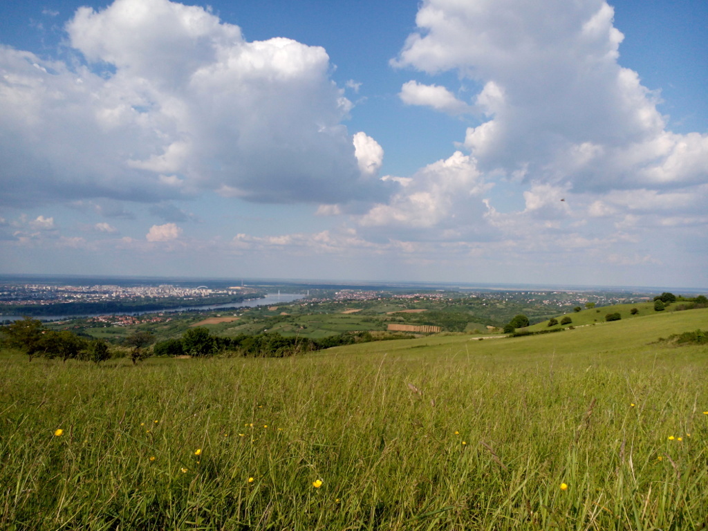 Vrdnik