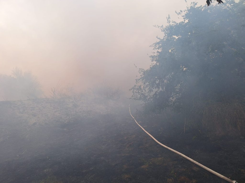 U popodnevnim časovima, izbio je požar na javnoj površino između ulica Ilije Garašanina i Ive Andrića u Somboru.