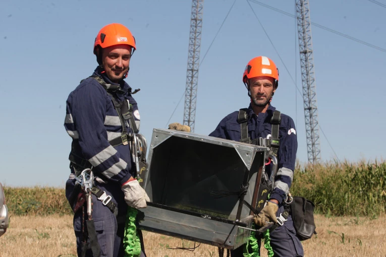 U Inđiji postavljeno veštačko gnezdo za stepskog sokola