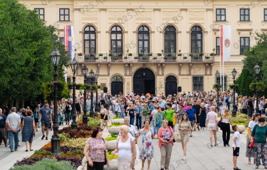 „Veče uličnih svirača“ oduševilo somborsku publiku 5