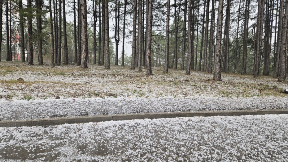 Zlatibor