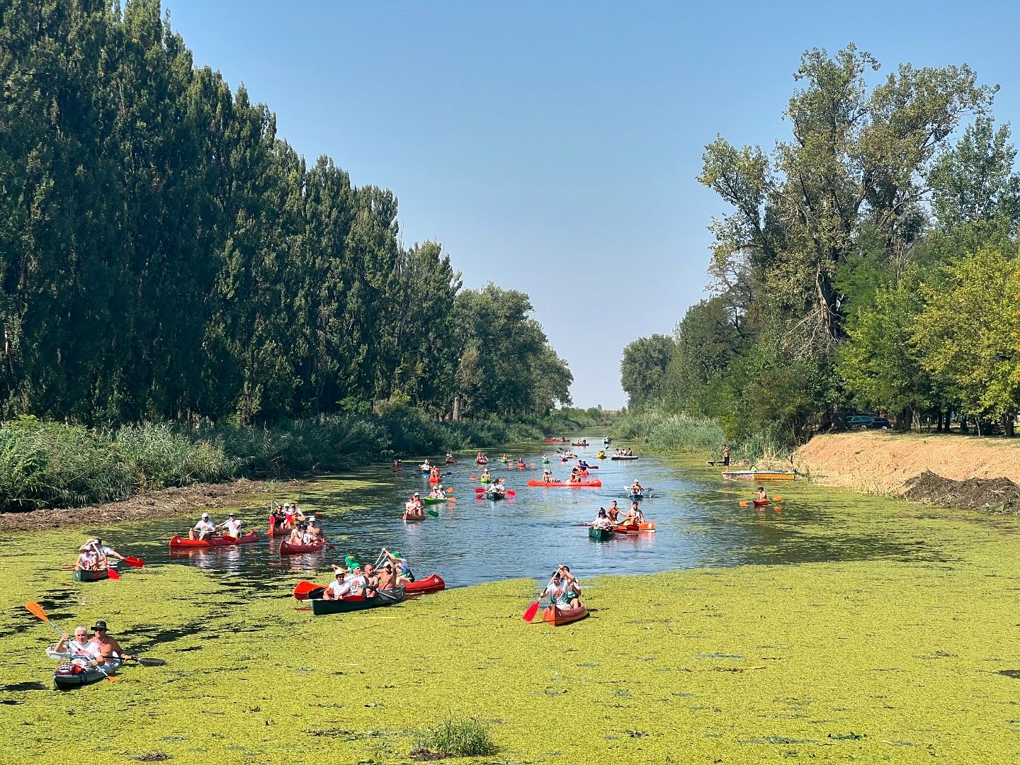 Kulska regata