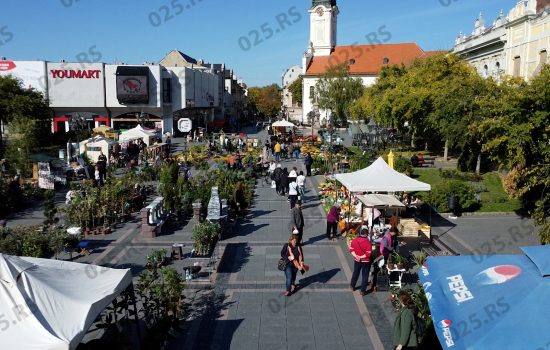  Glavna ulica procvetala u oktobru