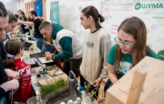 Festival „Fizi bizi“ okupio rekordan broj učesnika