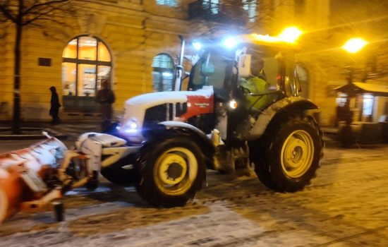 “Zelenilo” aktivno radi na čišćenju putnih pravaca