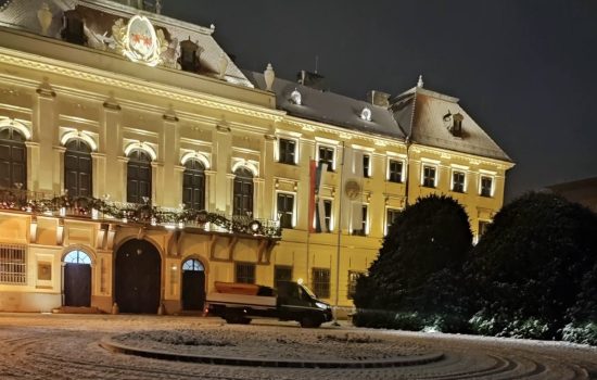 “Zelenilo” aktivno radi na čišćenju putnih pravaca