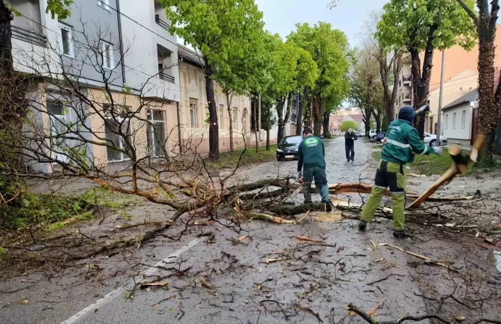 JKP Zelenilo - radnici