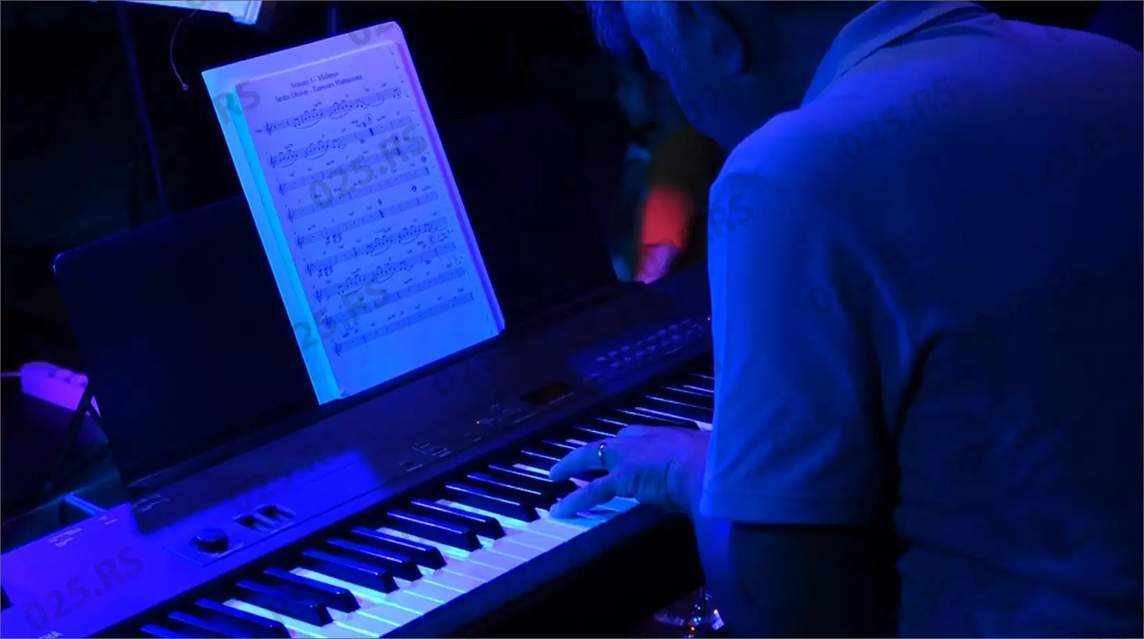 Sombor - Green Town Jazz Fest 3
