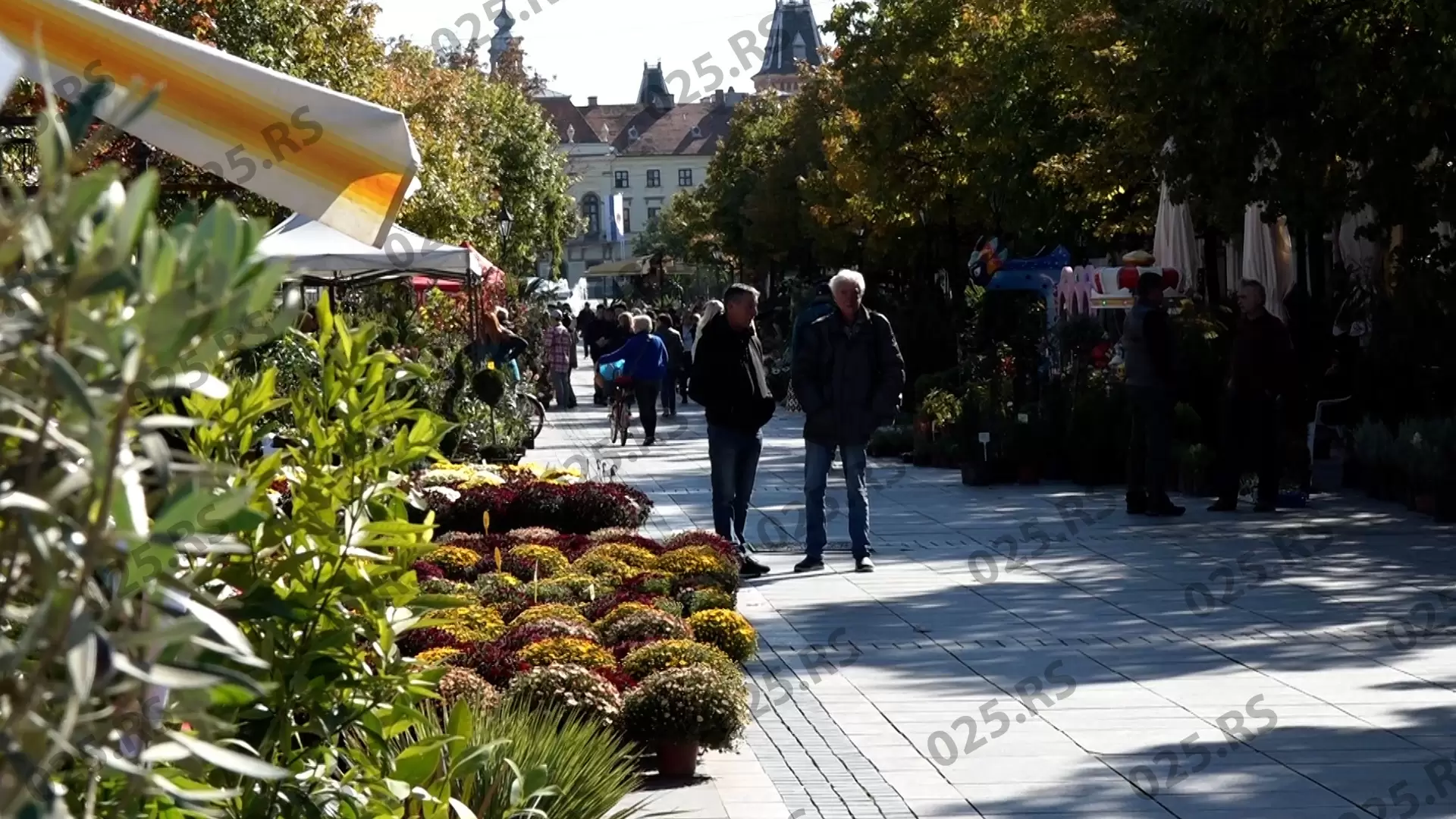  Glavna ulica procvetala u oktobru